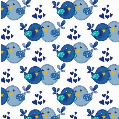 https://www.risquinhasebolinhas.com/product/blue-brothers-bird