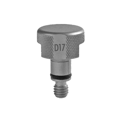 Parafuso metálico prateado com cabeça knurled e inscrição D17
