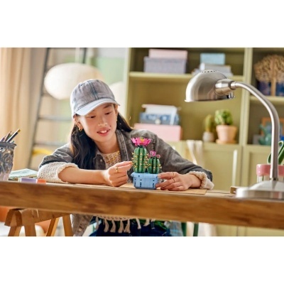 Jovem a brincar com cacto de peças de construção na mesa