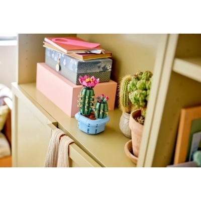 Miniaturas de cactos em plástico com flores cor de rosa numa base azul sobre móvel bege