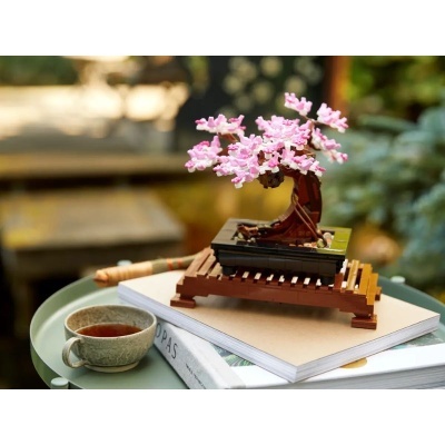 Miniatura de árvore bonsai com flores cor-de-rosa sobre livros e chávena numa mesa verde