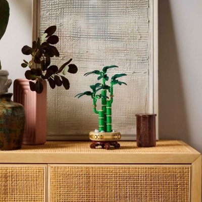 Planta de bambu decorativa em vaso sobre móvel de madeira com vasos e quadro de fundo