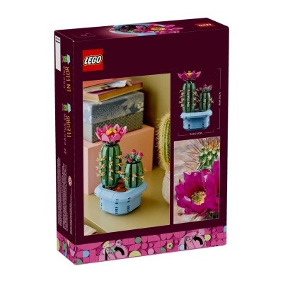 Caixa LEGO conjunto cacto em flor com cores verde, rosa e azul