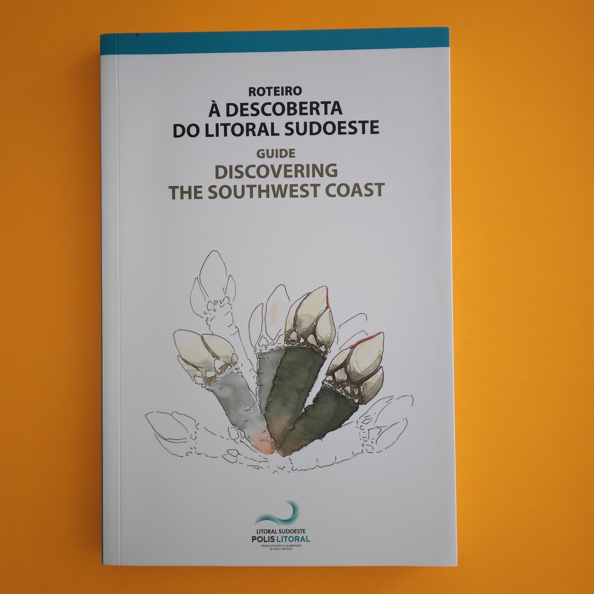 Roteiro À Descoberta do Litoral Sudoeste Livro com capa branca e desenho de caranguejo sobre fundo laranja