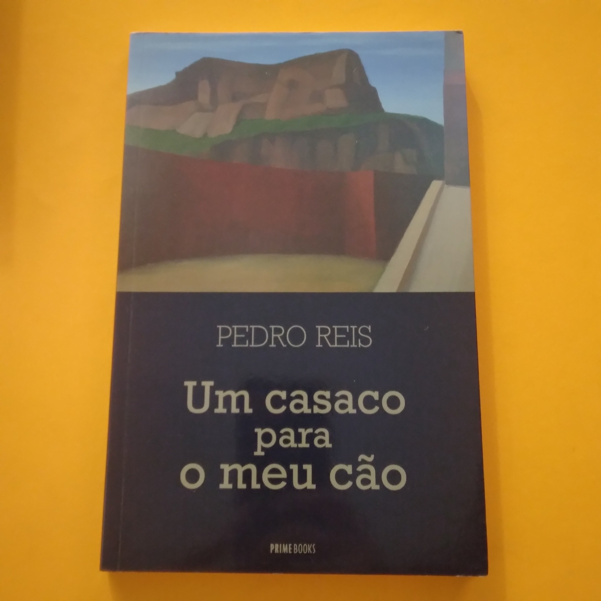 Um Casaco para o meu Cão, Pedro Reis Capa do livro 'Um casaco para o meu cão' de Pedro Reis com ilustração de paisagem