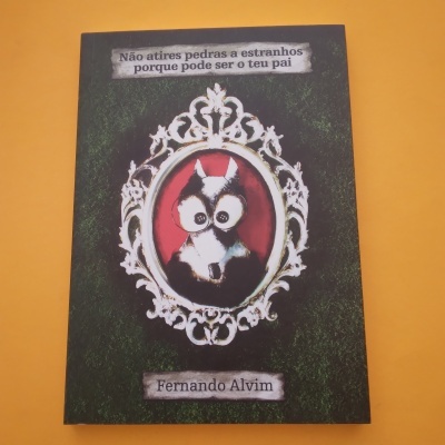 Capa de livro verde escura com moldura branca, ilustração de coruja e texto em português.