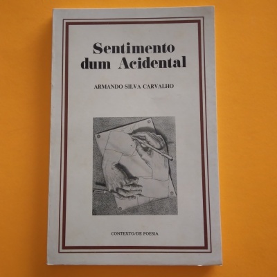 Capa do livro 'Sentimento dum Acidental' com ilustração a preto e branco e moldura castanha