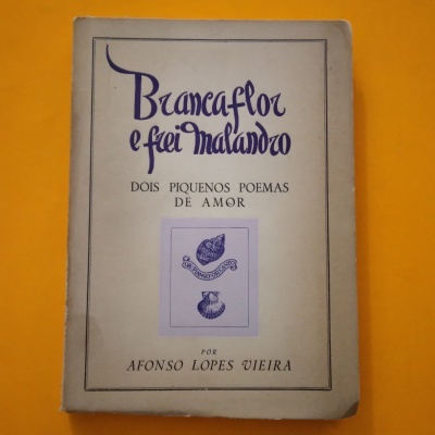 Capa de livro 'Branca flor e frei Malandro' com texto azul em fundo amarelo claro