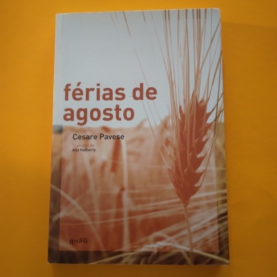 Livro 'férias de agosto' com capa de espigas de trigo