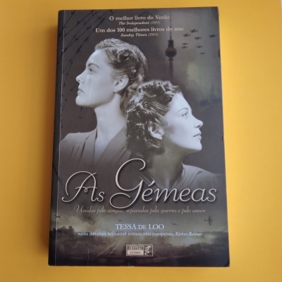 Capa do livro As Gémeas de Tessa de Loo com duas mulheres de perfil em tons cinzentos e texto em português