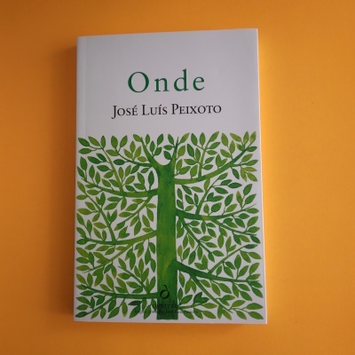 Capa de livro 'Onde' de José Luís Peixoto com ilustração de árvore verde