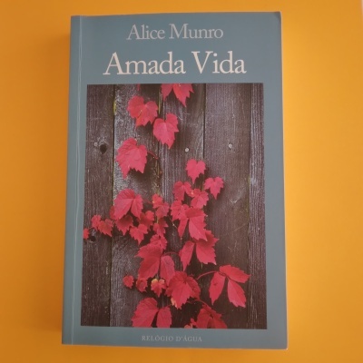 Capa do livro Amada Vida de Alice Munro com folhas vermelhas sobre madeira