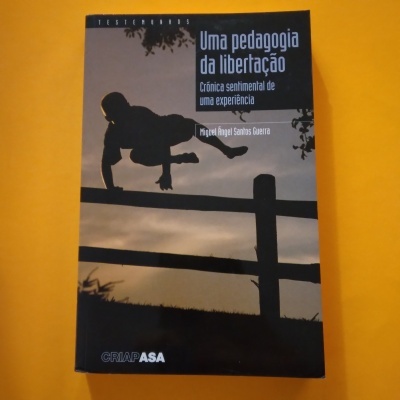 Capa de livro com imagem de criança a saltar vedação ao pôr do sol e texto do título e autor.