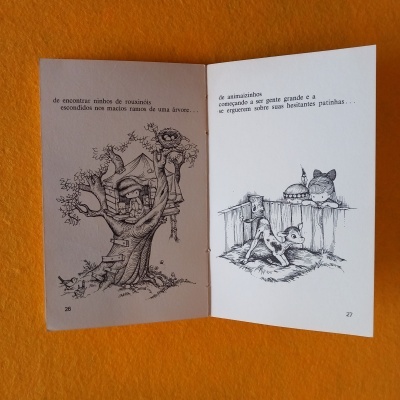 Livro aberto com ilustrações e texto em português
