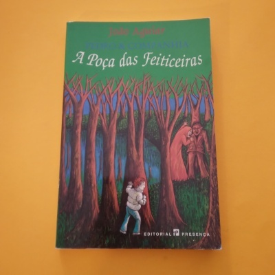 Capa de livro 'A Poça das Feiticeiras' com ilustração de floresta e pessoas