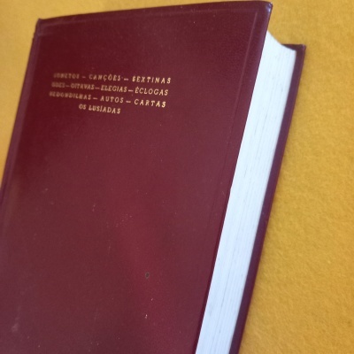 Livro com capa vermelha escura com título em dourado, sobre fundo amarelo