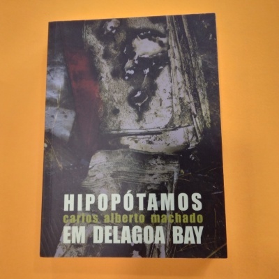Capa do livro 'Hipopótamos em Delagoa Bay' de Carlos Alberto Machado sobre fundo laranja.
