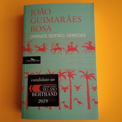 Livro 'Grande Sertão: Veredas' de João Guimarães Rosa com capa verde e ilustrações vermelhas