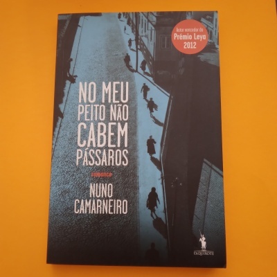 Capa do livro 'No Meu Peito Não Cabem Pássaros' de Nuno Camarneiro com selo de prémio sobre fundo laranja