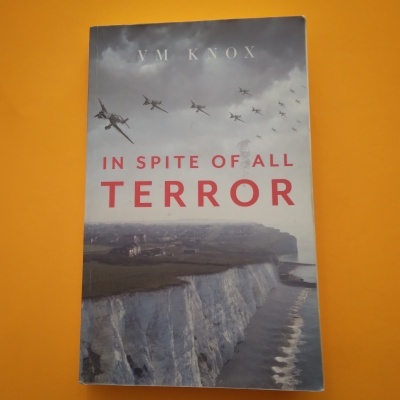 Livro 'IN SPITE OF ALL TERROR' com aviões e penhascos na capa sobre fundo laranja