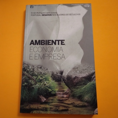 Capa de livro 'Ambiente, Economia e Empresa' com imagem de caminho entre vegetação