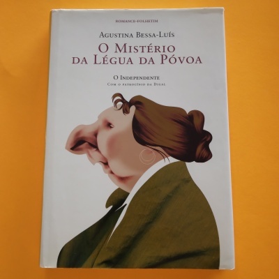 Capa de livro com ilustração de mulher e texto do título