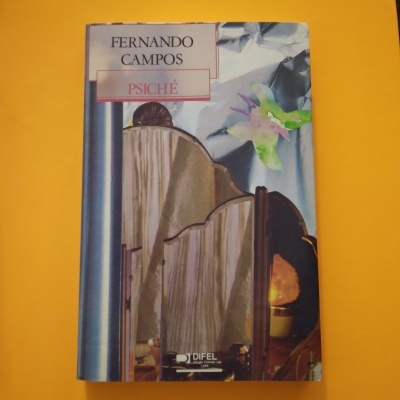 Capa do livro PSICHÉ de Fernando Campos com biombo de madeira e flor colorida