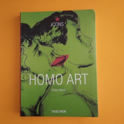 Livro 'HOMO ART' com capa verde e ilustração de dois rostos em perfil.