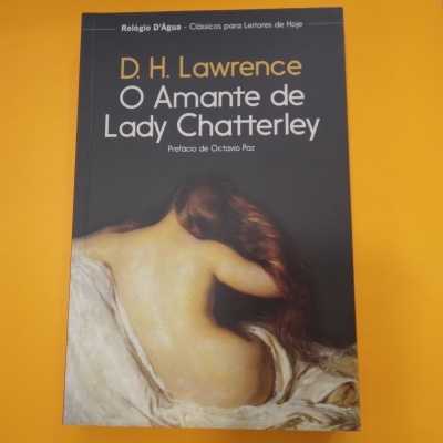 Capa do livro O Amante de Lady Chatterley de D. H. Lawrence com imagem de mulher nua de costas