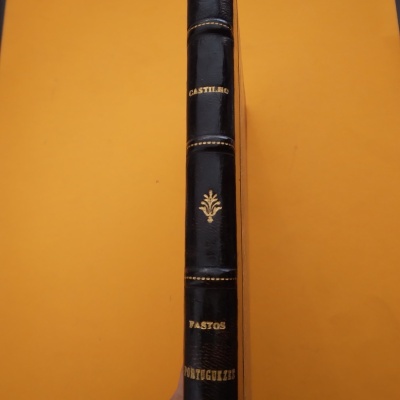 Lombada de livro de couro preto com texto dourado sobre fundo laranja.