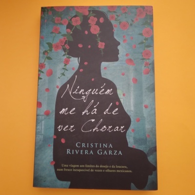 Capa de livro azul e rosa com silhueta de mulher e texto em português.