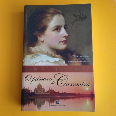 Capa do livro 'O pássaro de Caxemira' com pintura de mulher e Taj Mahal ao pôr do sol