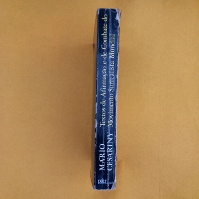 Lombada de livro azul escura com texto em branco