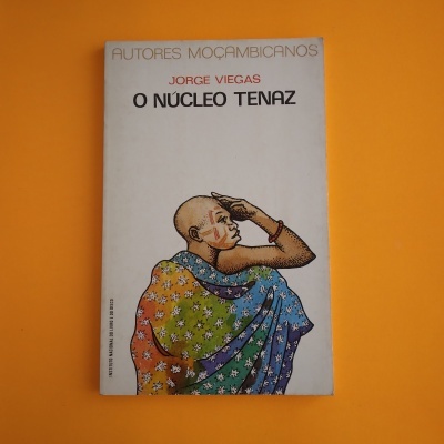 Livro 'O NÚCLEO TENAZ' de Jorge Viegas com capa branca e ilustração colorida sobre fundo laranja