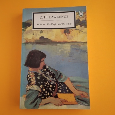 Capa de livro com ilustração de mulher, título em fundo branco