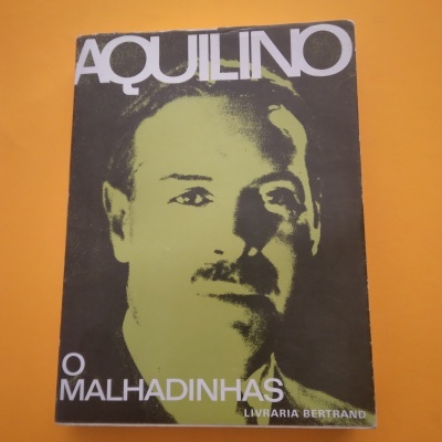 Capa de livro com rosto masculino em tons de verde e preto chamado AQUILINO O MALHADINHAS
