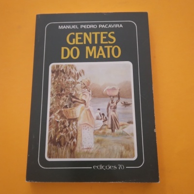 Capa de livro 'GENTES DO MATO' com ilustração de mulheres perto de rio
