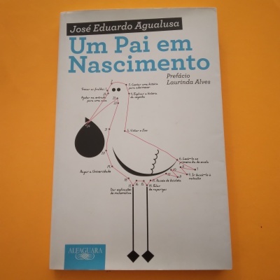 Capa do livro 'Um Pai em Nascimento' com ilustração de cegonha e texto em português