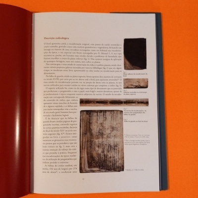 Página de livro em português com texto e imagens de amostras de madeira