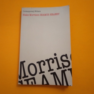 Livro branco com texto preto e vermelho sobre fundo amarelo-laranja