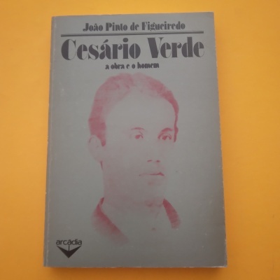 Capa de livro cinzenta com imagem avermelhada de homem e texto em preto