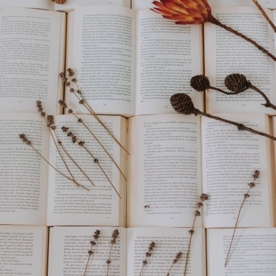 Páginas de livros abertos com ramos secos, flores e pinhas sobre elas