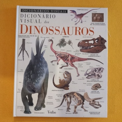 Capa de livro com ilustrações de dinossauros e esqueletos, textos em português e título 'Dicionário Visual dos Dinossauros'