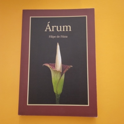 Capa de livro bordô com uma flor central e texto Árum, Filipe de Fiuza