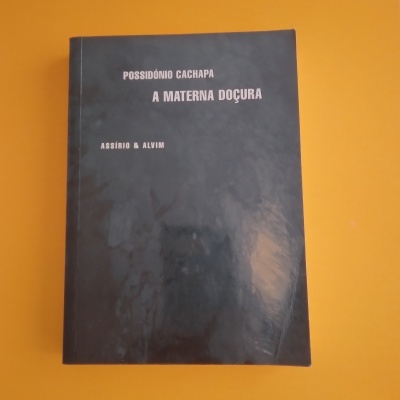 Livro preto com título e autor em texto branco sobre fundo laranja