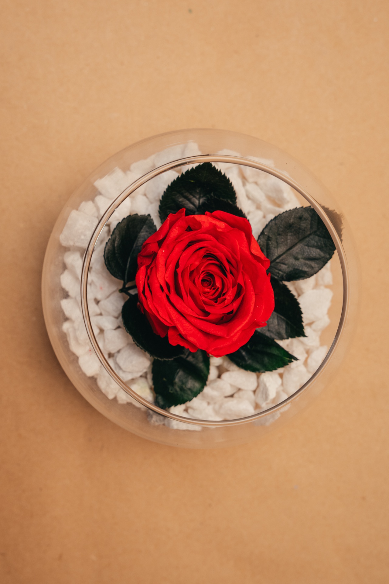 Rosa vermelha artificial em vidro redondo com pedras brancas