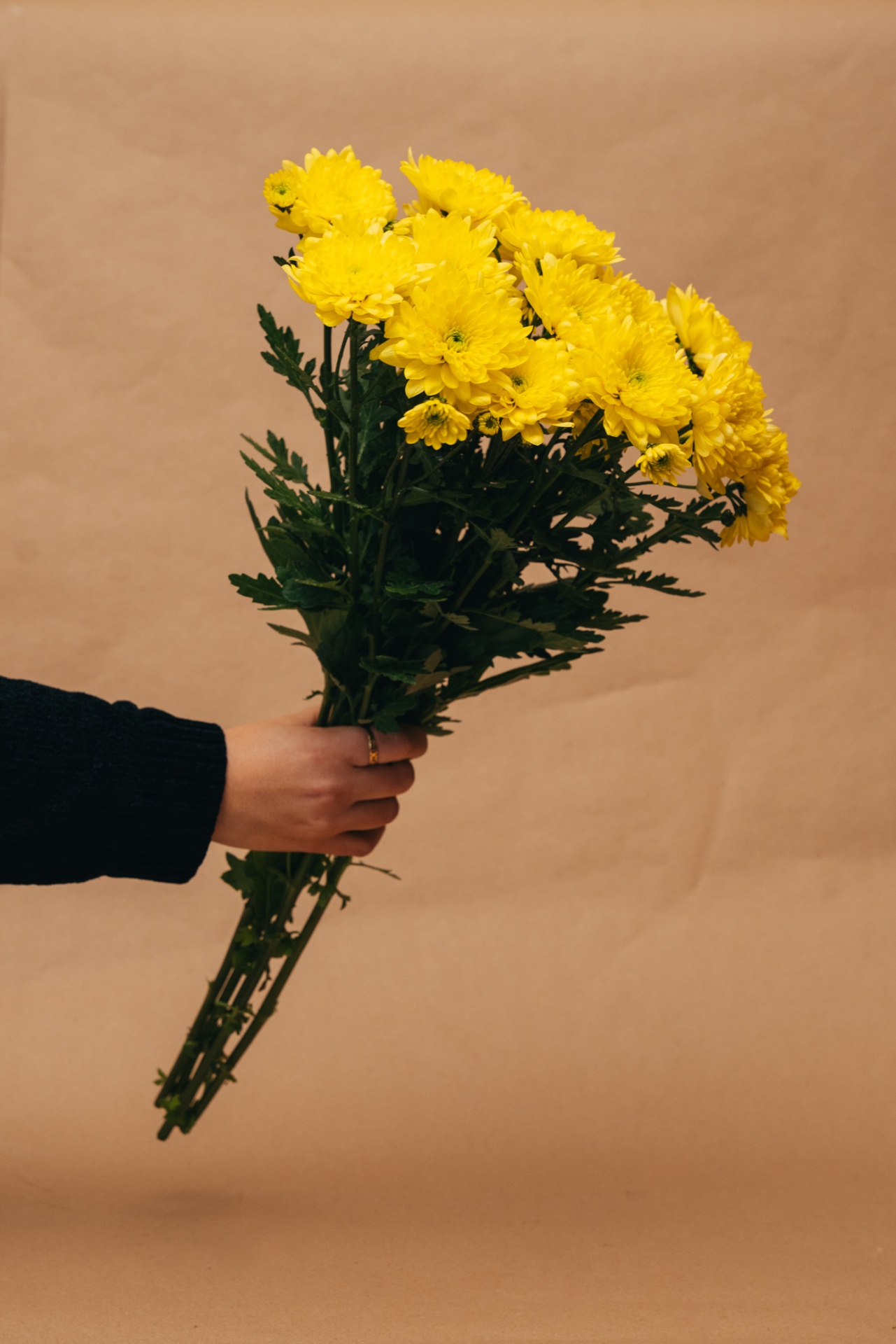 Ramo de flores amarelas segurado por uma mão com suéter preto, fundo bege.