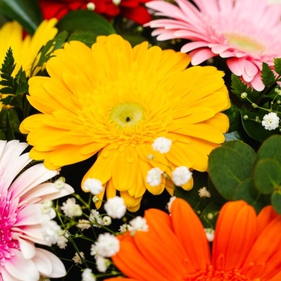 Cesta&#x20;de&#x20;Gerberas