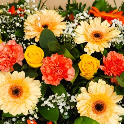 Palma&#x20;F&#x00FA;nebre