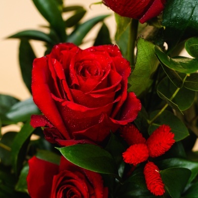 Arranjo&#x20;Rosas&#x20;numa&#x20;Base